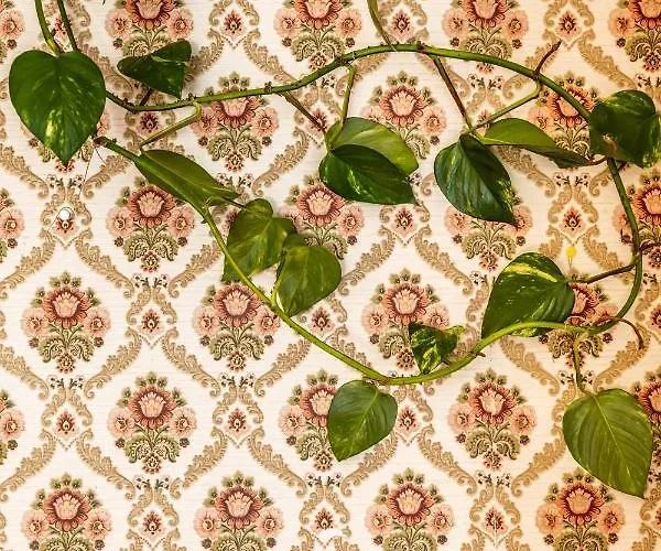 Martha - Appt 02 דירה Guéthary